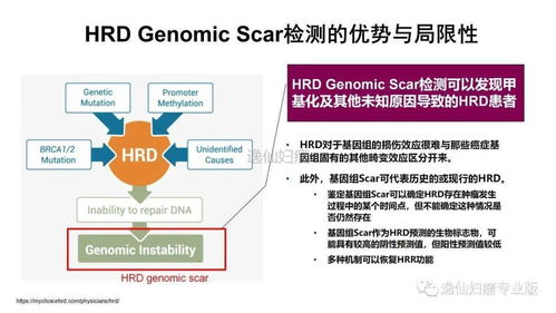 基因檢測在婦科腫瘤中的應用