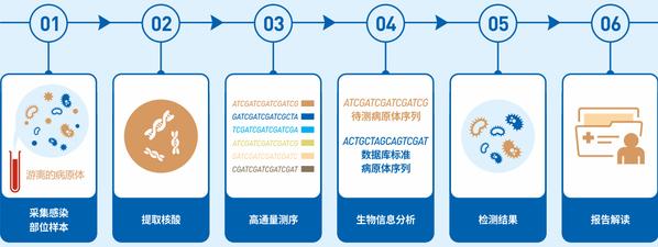 2-3個工作日給出檢測結果病原微生物高通量基因檢測的產品優勢與臨床